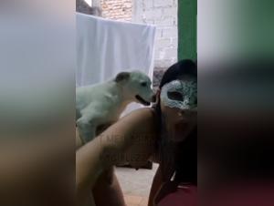 Eine Geschichte von Sex und Liebe zwischen Hunde und Puten