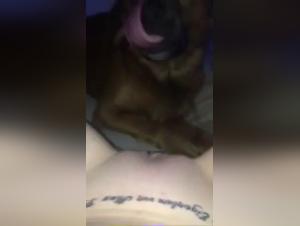 Ectasi Bestiale