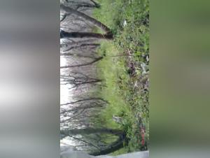 Une expérience extrême de zoophilie