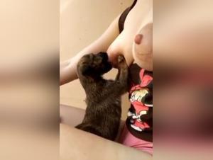 Explore the limits of intimacy with ArtofZoo