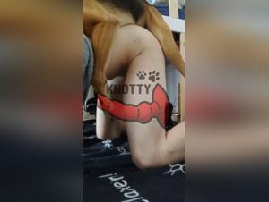 The libido of trans women: what is it about?