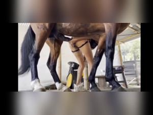 Discover the world of bestiality and extreme sex