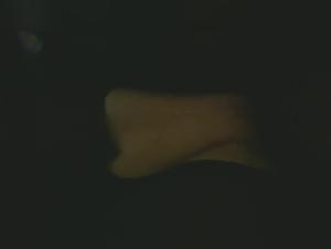 Sex video with a dog: don't miss it