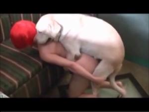 Webcam tabu: dominazione canina dal vivo
