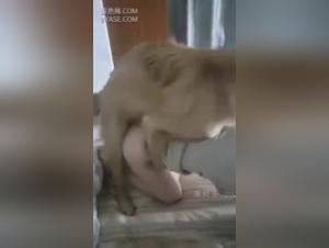 Explore our collection of bestiality sex videos