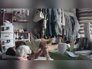 ethical boundaries explored