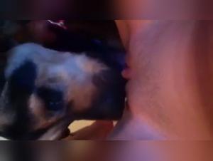 Bestiality sex video: woman and dog