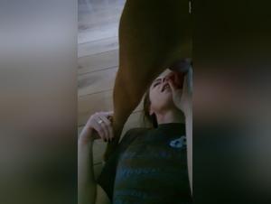 zoophilia sex alisonprod