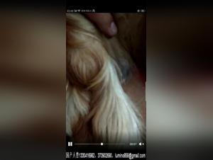 Intense and exciting sex scenes with animals