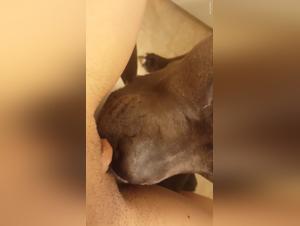 Extreme Sex Video: Dog and Woman