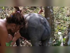 A beastly encounter with Alison