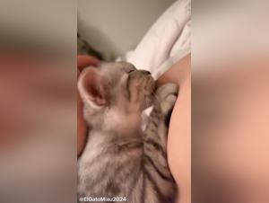 Hundefick & Tick Zoo: Exploring Boundaries