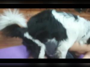 Limits Pushed to the Extreme