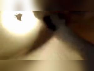 Entdecken Sie die Tabu -Passion: intensive Hund Fick
