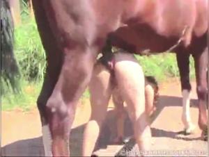 Bestiality video: a woman and a horse