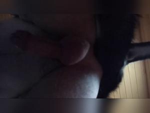 Zoophilia Shock Video: Don't Miss This Hardfuck Scene!