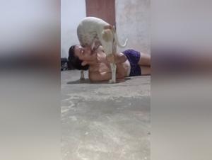 Esplora i limiti: sesso animale estremo e intenso
