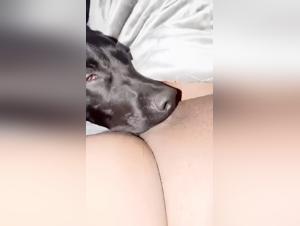 Femmes salopes a la recherche de sexe avec leurs chiens