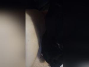 The sluts girls get screwed by a dog