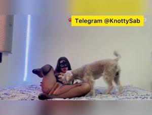 US Canine Pleasure Spotlight