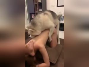 Shocking and exciting scenes