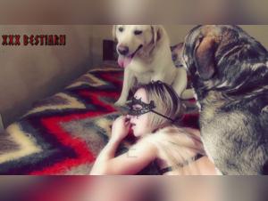 Bestiality sex videos - The most beautiful sex videos with animals