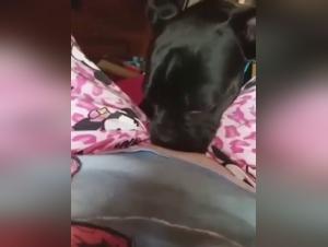 Intense zoophilia video with an experienced milf