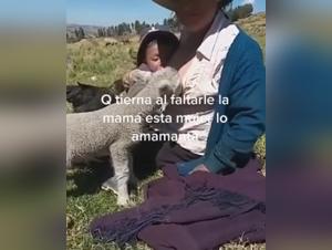 Watch this beastly sex video with a sheep