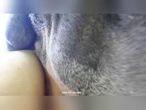 fap vid secrets exposed