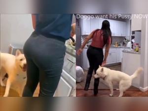 A hard and extreme sex scene with a dog