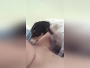 Bestiality sex video with dog