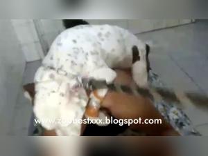 An intense and passionate relationship between a woman and a dog