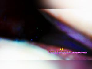 Bestiality Sex Videos: Woman and Dog