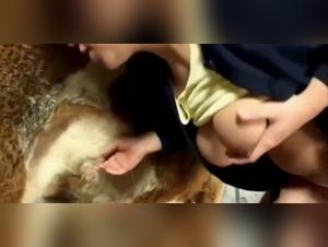 The most intense salacious acts with a dog are performed by these women who care not and totally disregard the rules