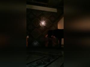 Forbidden pleasures with a four-legged companion