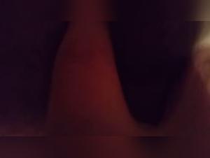 Bestiality sex video with a Husky and a woman