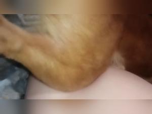Passione femminile e ardente animalita: un incrocio tabu