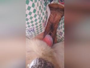 Extreme Intimacy: A Man and His Canine Companion