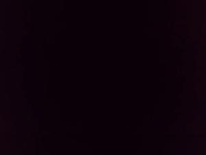 Extreme zoophilia video