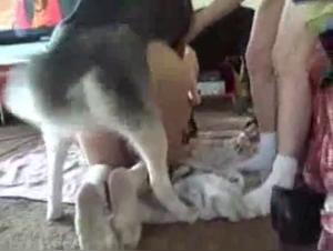 Soddisfazione animale: Miss Lobo rivela i suoi desideri piu profondi