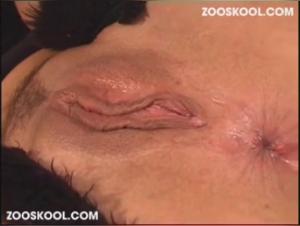 Bestiality Sex Video: Discover the Taboo