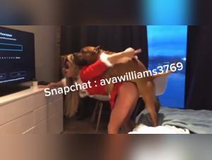 Discoveries and canine pleasure