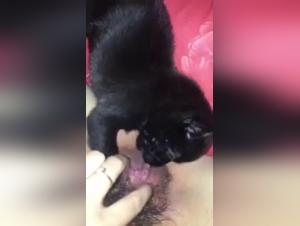 Vidéo Bestialité: Une Expérience Extrême