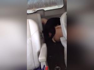 Dog Sex Videos: An Extreme Experience