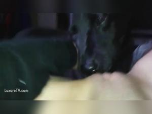 Watch this girl have fun with her dog in a beastly sex scene