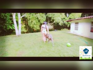 Bestiality sex with a dog on camera