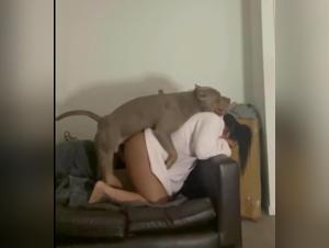 Dog Sex & Female Orgasms: A Twisted Realm