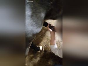 Woman and Horse: A Forbidden Meeting