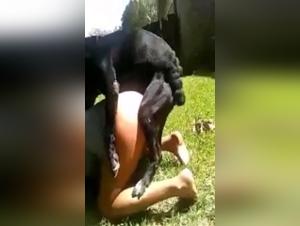 Vidéo de sexe bestialité : une femme au foyer et son compagnon canin
