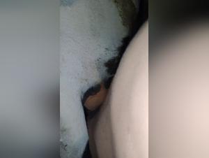 Extreme Fetischszenen: Hundeficken, Tierdominanz und unstillbares Verlangen